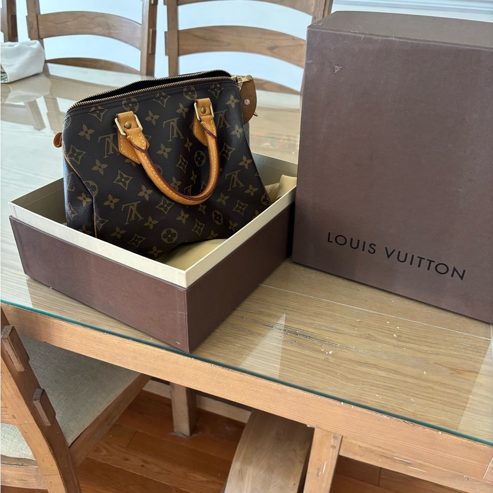 Louis Vuitton Classic Monogram Satchel